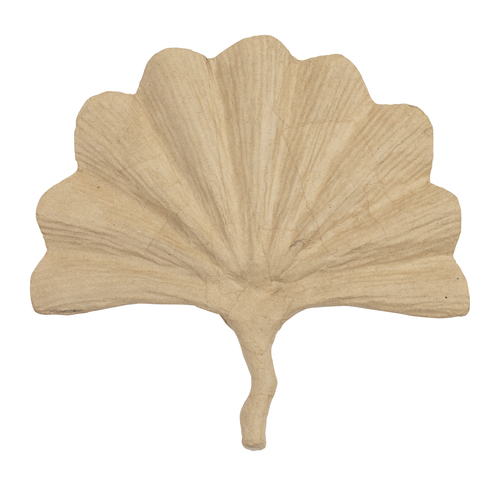 Gingko Leaf